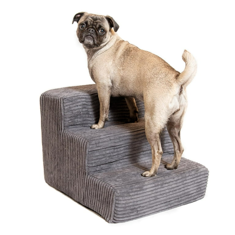 Best Portable Pet Accessories