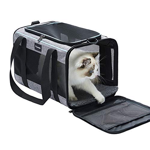 Travel-Sized Pet Carrier