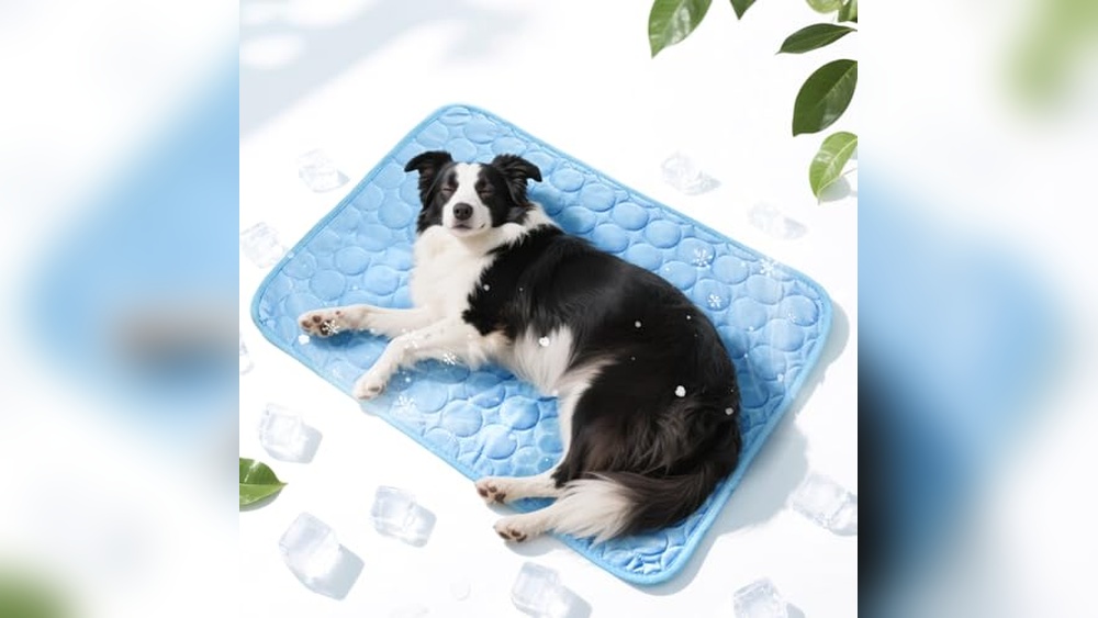 Compact Pet Cooling Mat